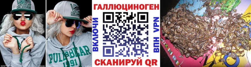 Псилоцибиновые грибы ЛСД  Купить закладки  Кировск 